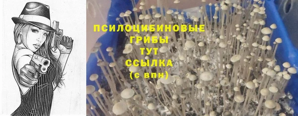 героин Богданович