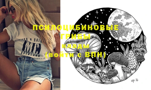 героин Богданович