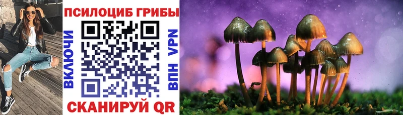 Псилоцибиновые грибы Psilocybe  Верхоянск 
